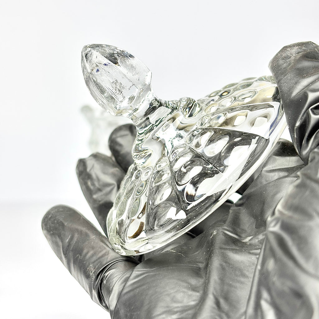 1 pc Candy Jar | Dstg1047